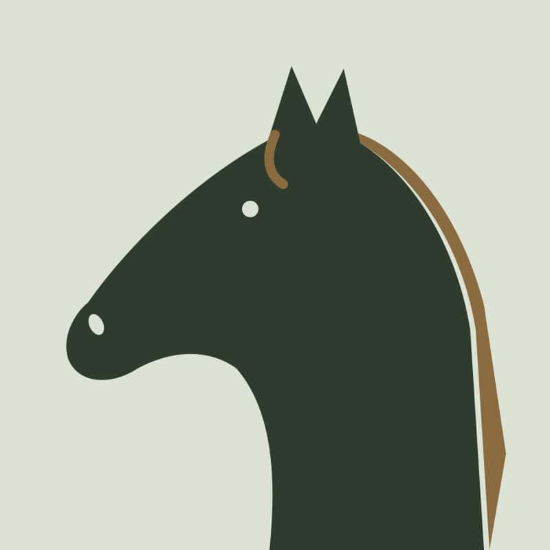 profilbillede-1-moerk-hest