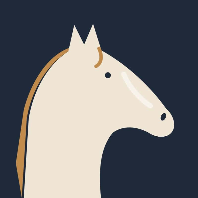profilbillede-2-lys-hest