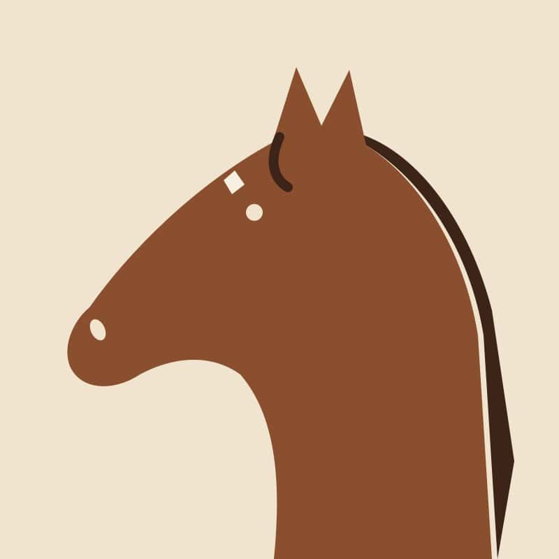 profilbillede-3-roedbrun-hest